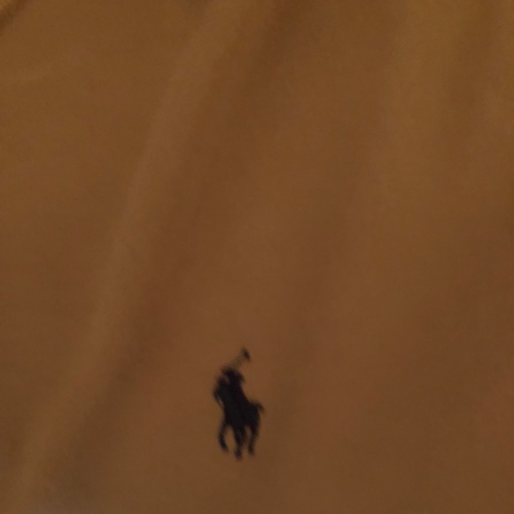 Polo - Picture 2 of 2